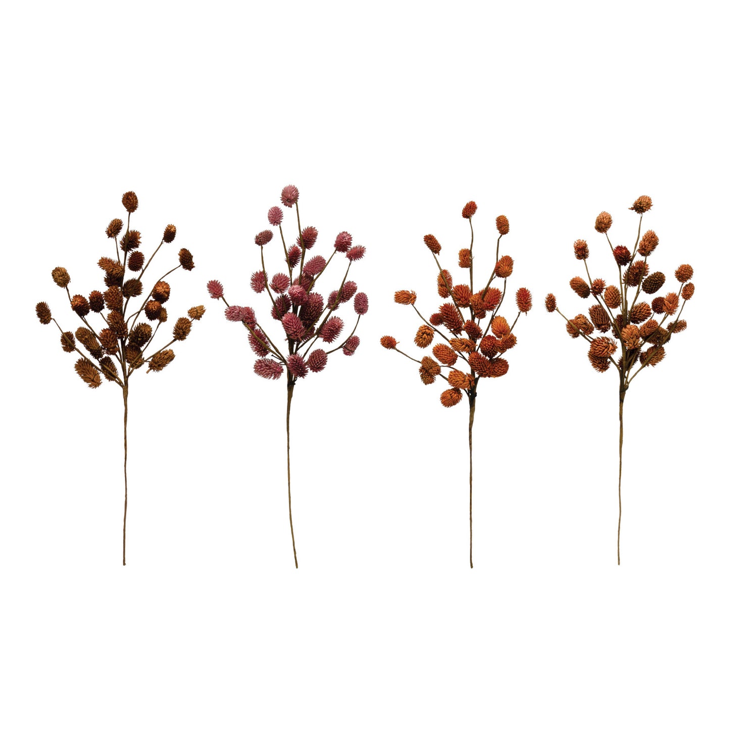 IC129 Dried Natural Thistle Pick