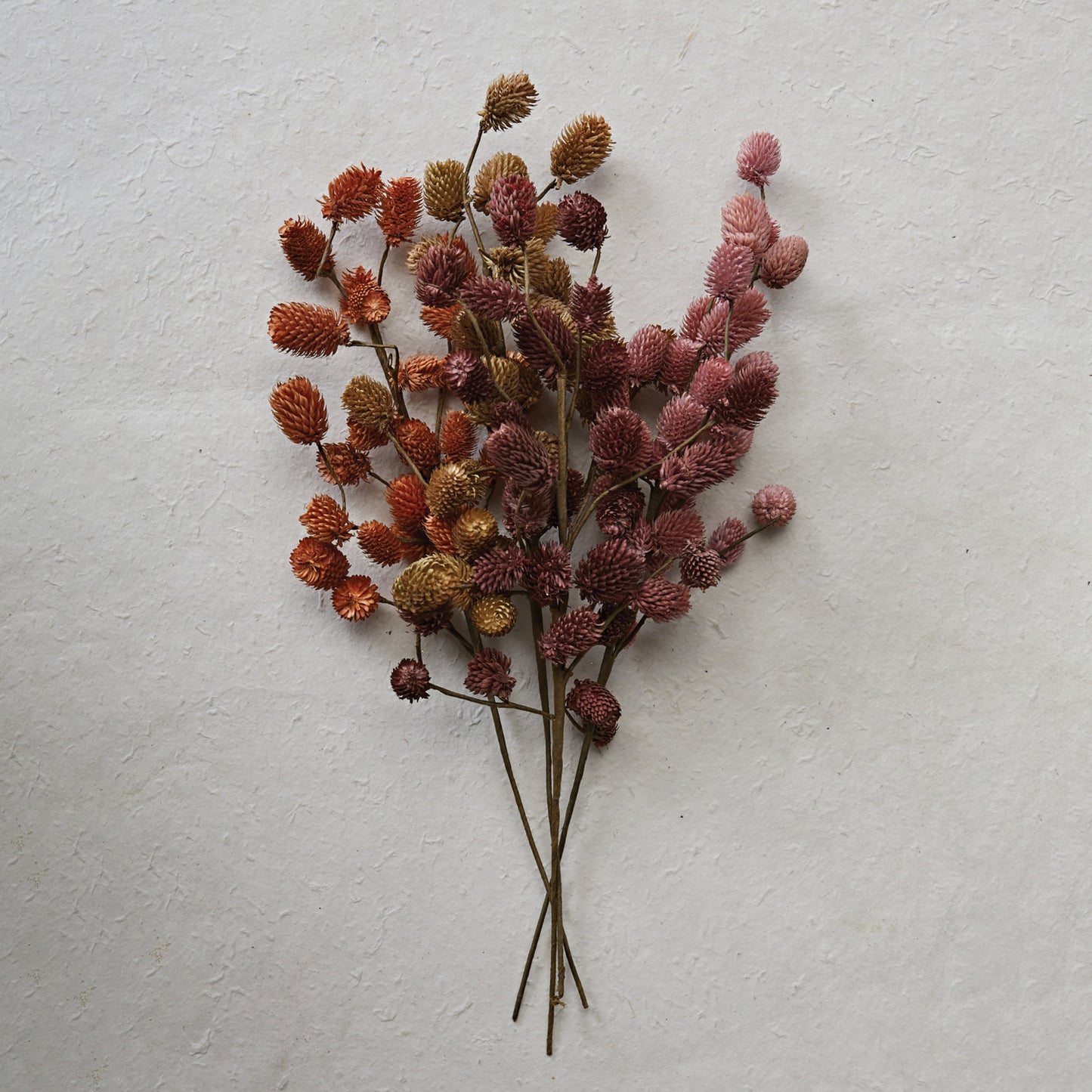 IC129 Dried Natural Thistle Pick