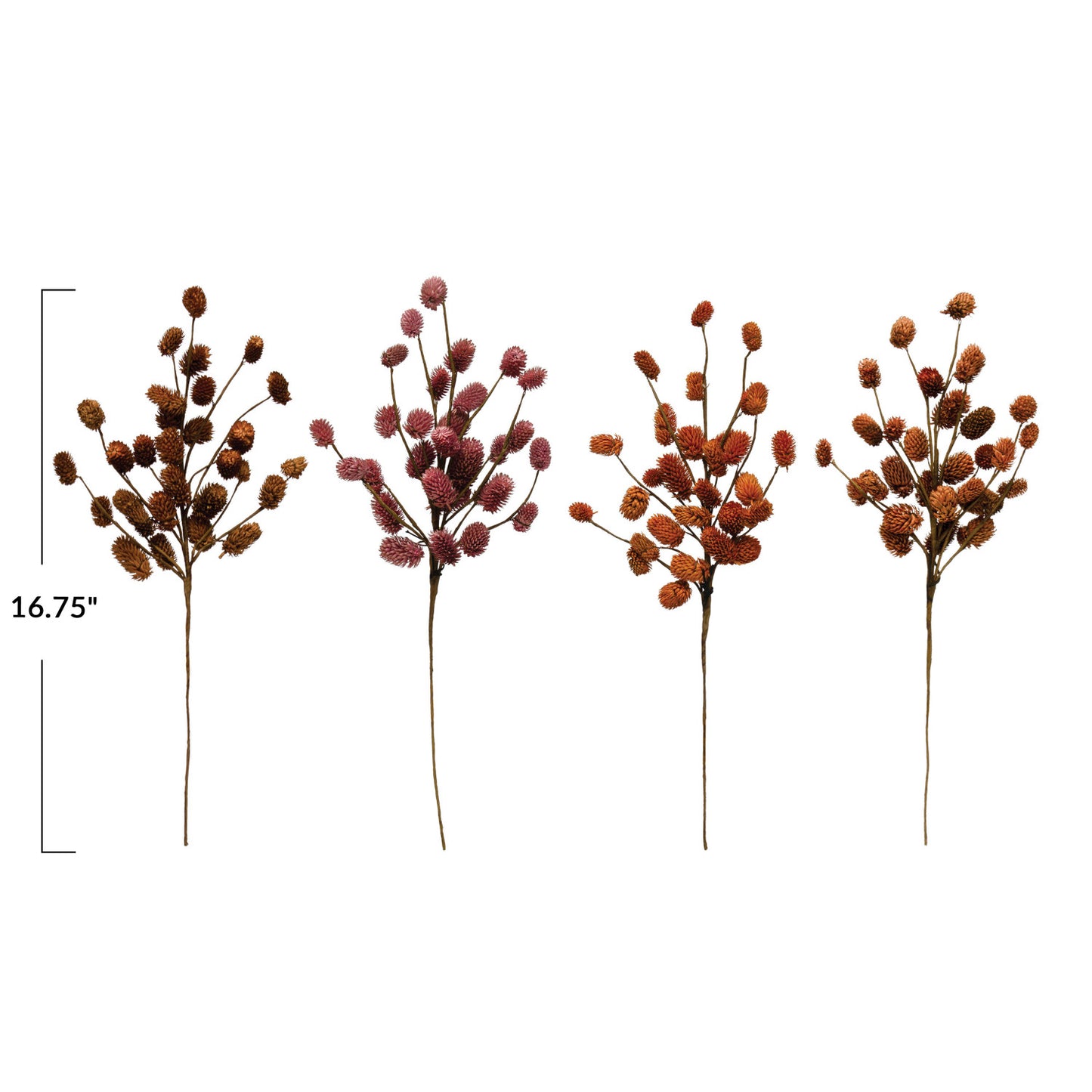 IC129 Dried Natural Thistle Pick