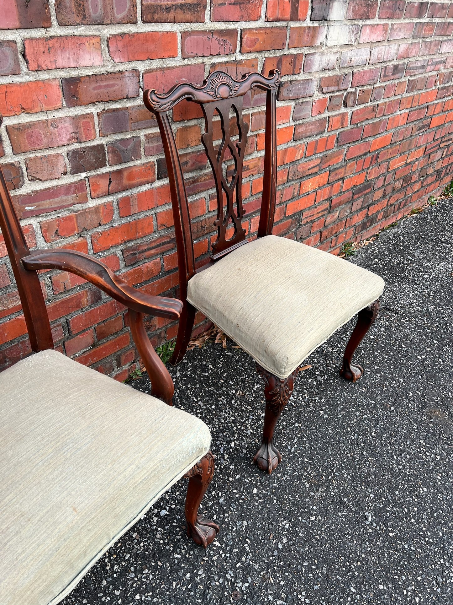 Set of 6 Claw Foot Chairs (C)