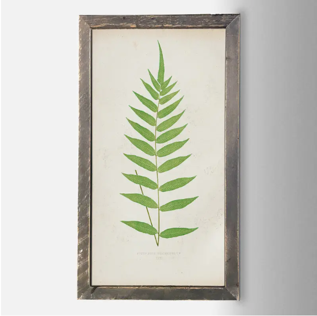 IC135 Fern Print