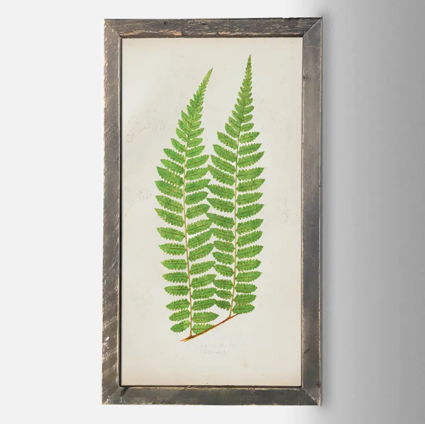 IC135 Fern Print