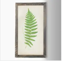 IC135 Fern Print