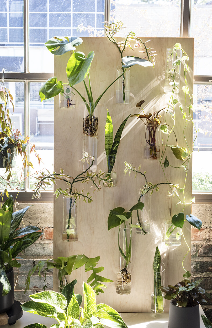 48816 Eliza Vase 10"