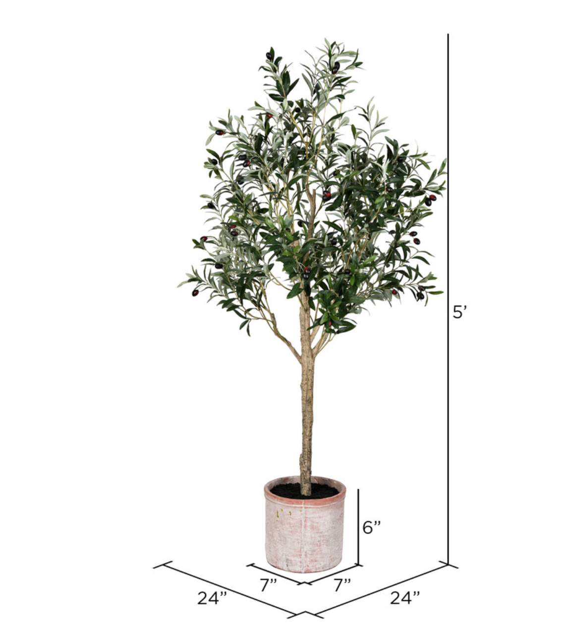 FH190350 5' Green Potted Olive Tree