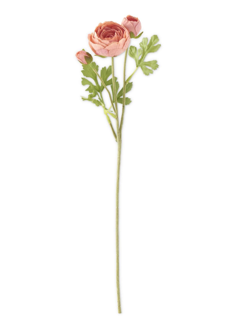 17805A-PKDK 21" Coral 3 Head Ranunculus Stem