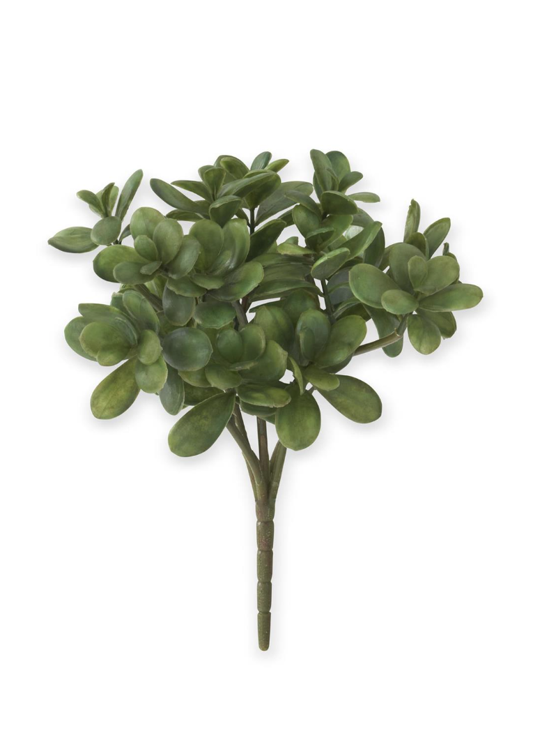 19369A 11.5" Jade Pick