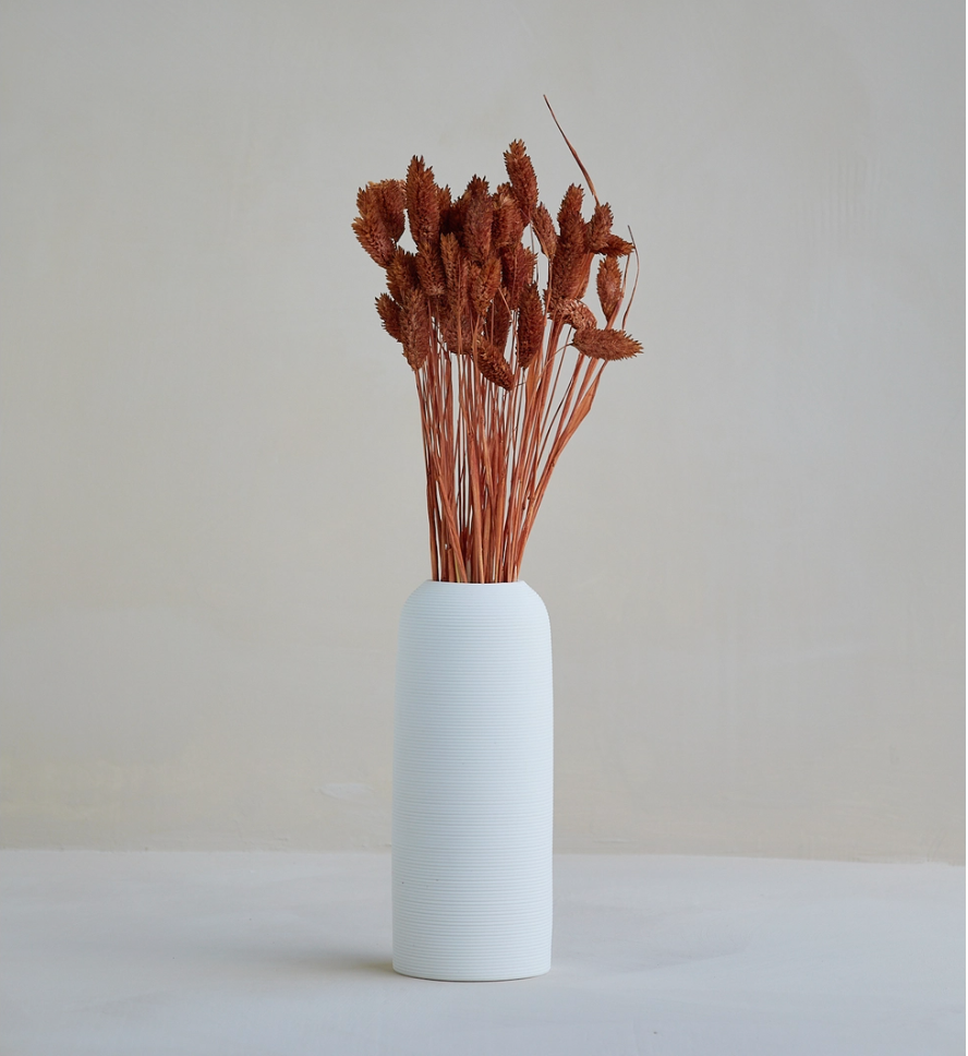 IC130 Dried Phalaris Grass in Brown