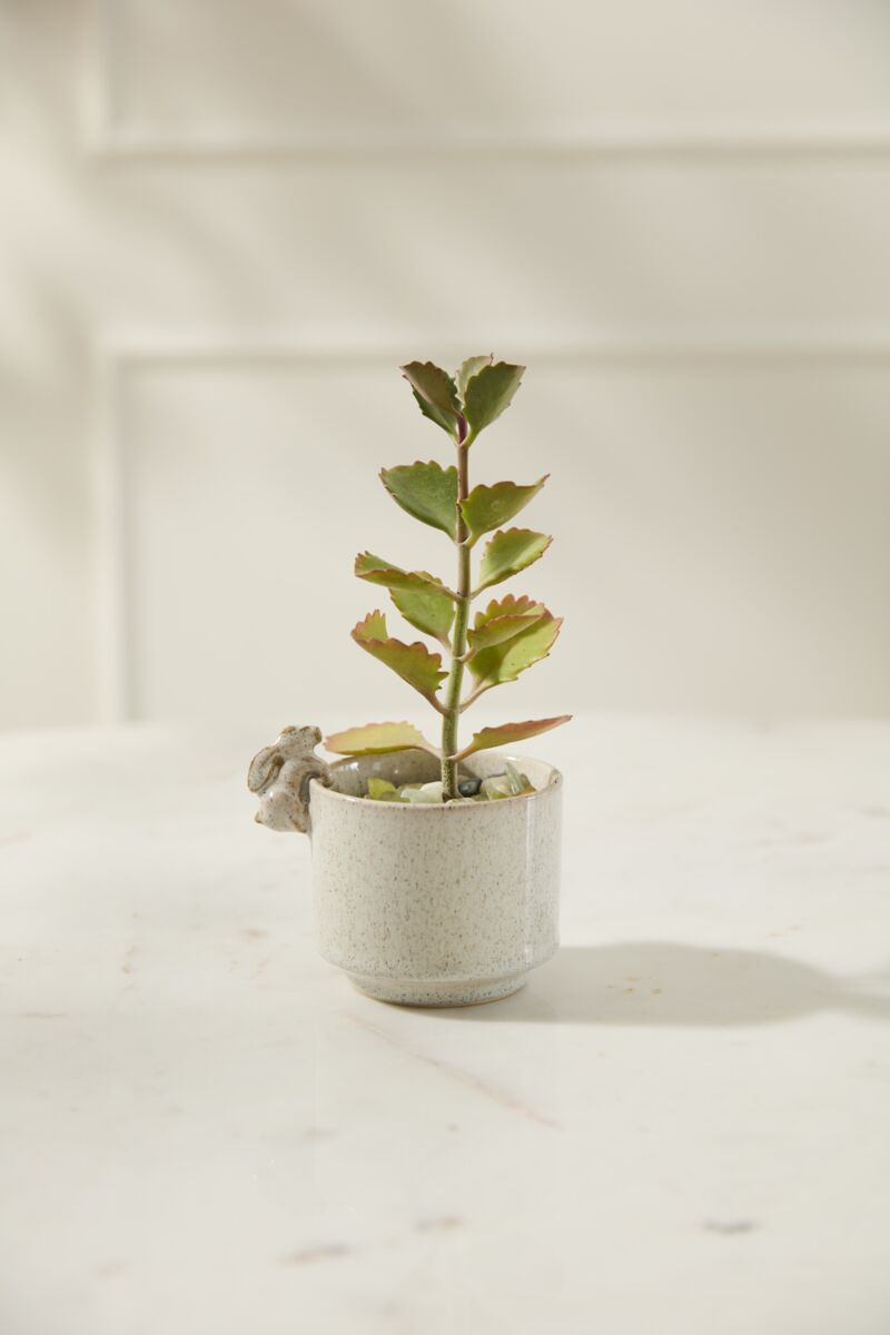 10565.01 Small Sneaky Bunny Pot