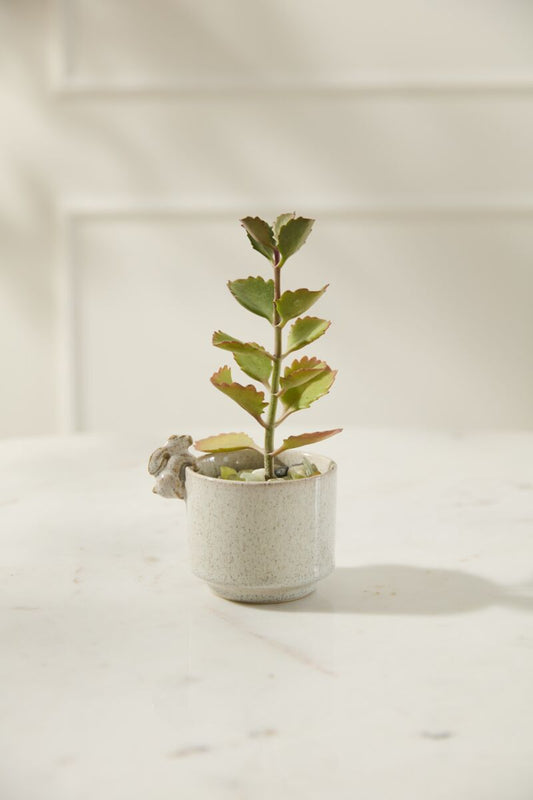 10565.01 Small Sneaky Bunny Pot