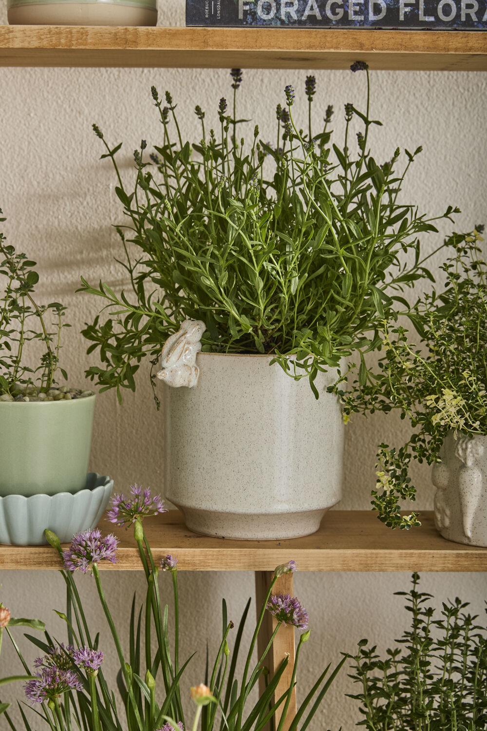 10566.01 Medium Sneaky Bunny Pot