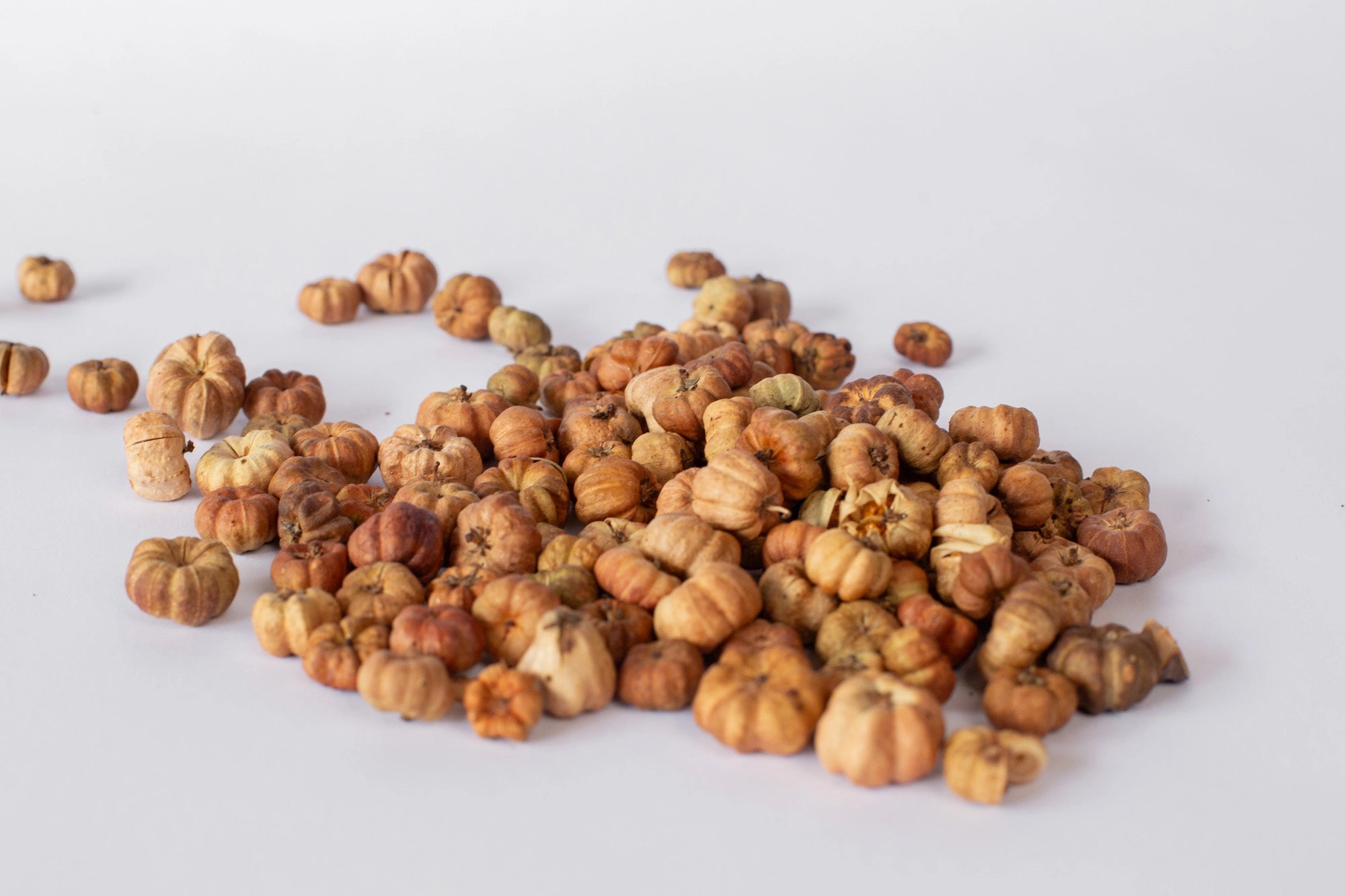 Putka Pods Toasted Pumpkin Latte