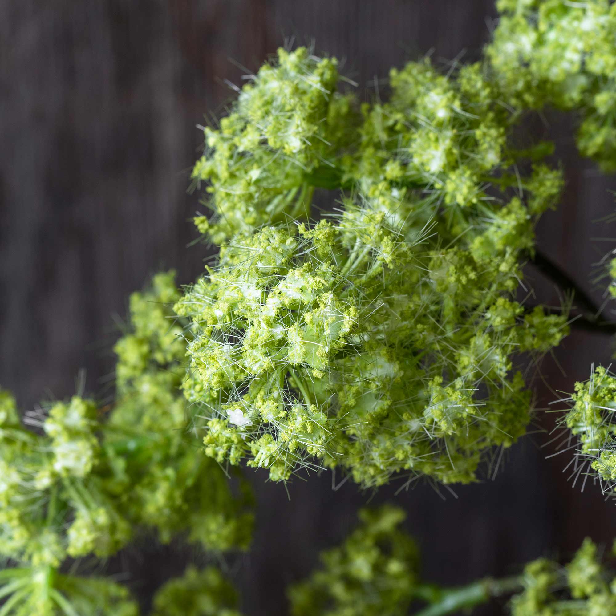 AA-N1-061 Artificial Guelder Spring Green