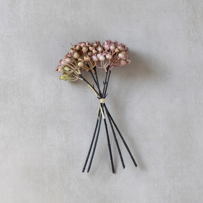 AA-G4-061 Rose Hip Bunch Stem