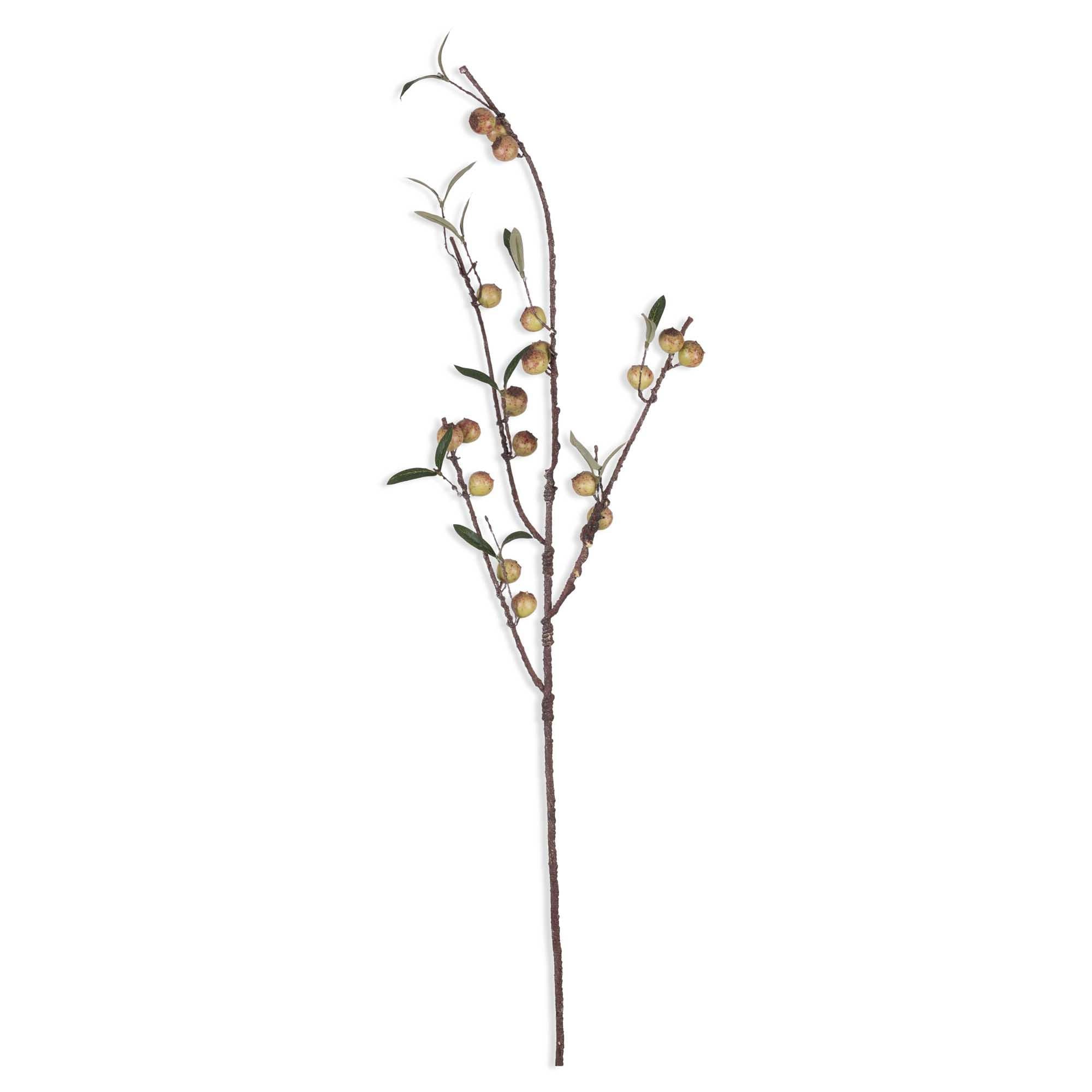 AA-N4-006 Artificial Rosehip