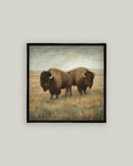 16x16 Bison Duo Framed Art, BISON-1414-366GT-SH
