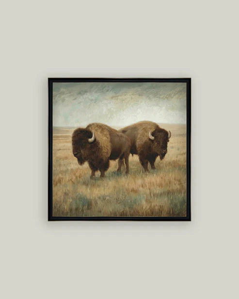 16x16 Bison Duo Framed Art, BISON-1414-366GT-SH