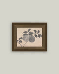 8x10 Branch of Fruit Bearing Tree Art
