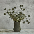 IC177 Melaleuca Stems - Tan