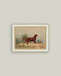 4x6 Standing Retriever Framed Art