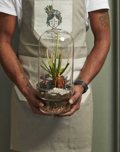 32681 Griffith Terrarium
