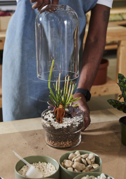 32681 Griffith Terrarium