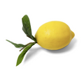 16293A 4.5" LEMON