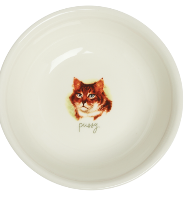 FEST-AIF-BOPU Pussy Bowl