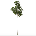 19284A 32" FOLIAGE