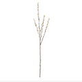 11966A 31" GRAY PUSSY WILLOW  STEM