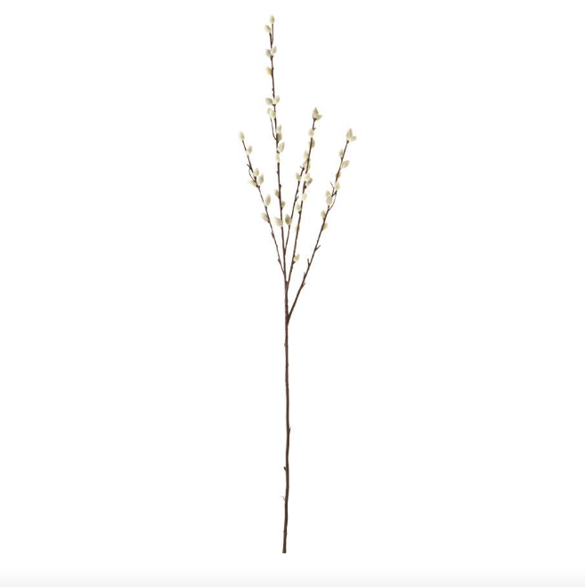 11966A 31" GRAY PUSSY WILLOW  STEM
