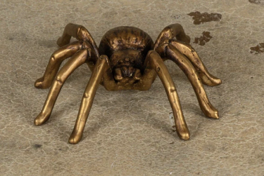 FB247043 Gold Trantula