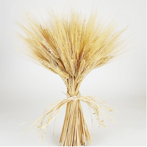 Golden Wheat Bundle