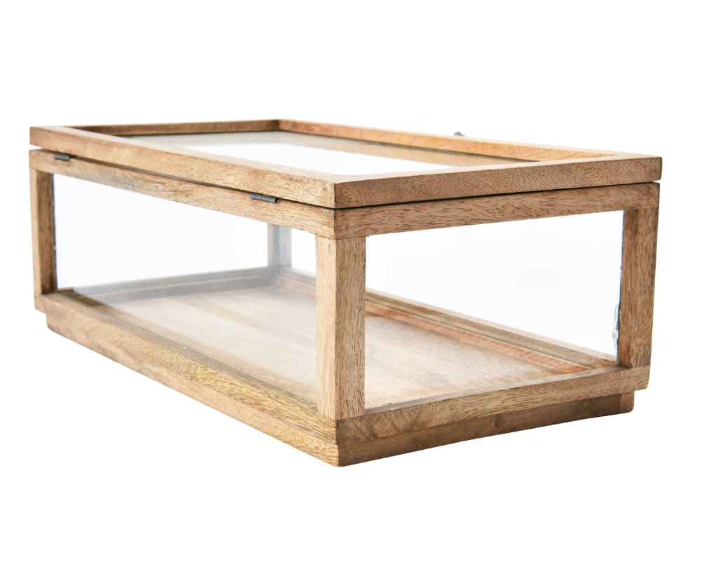 DF4022 Mango Wood and Glass Display Box w/ Lid