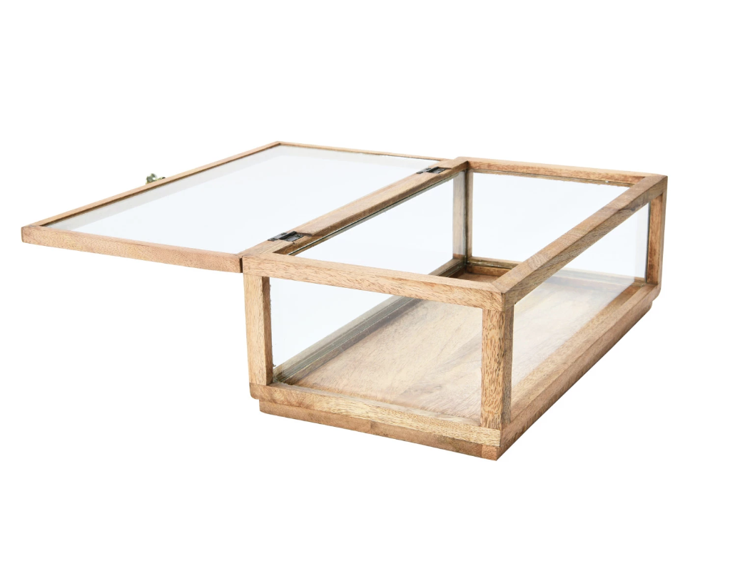 DF4022 Mango Wood and Glass Display Box w/ Lid