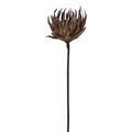 DF9842 40" Brown Metal Flower Stem