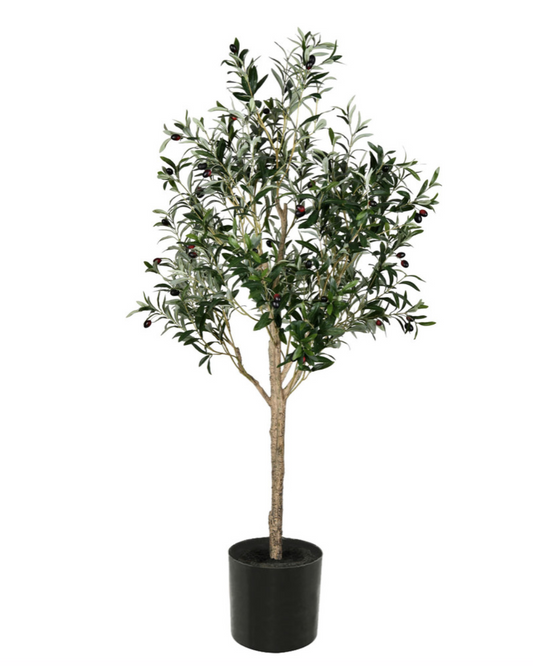 FH190350 5' Green Potted Olive Tree