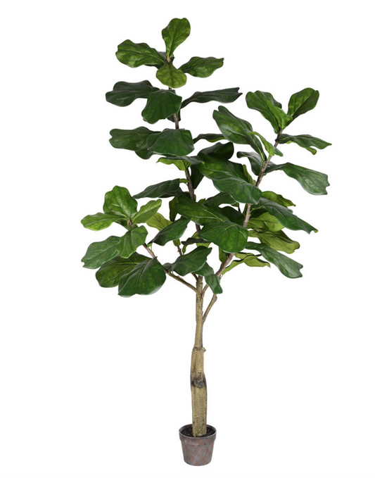 TB180272 6' Fiddle Tree Artificial Tree