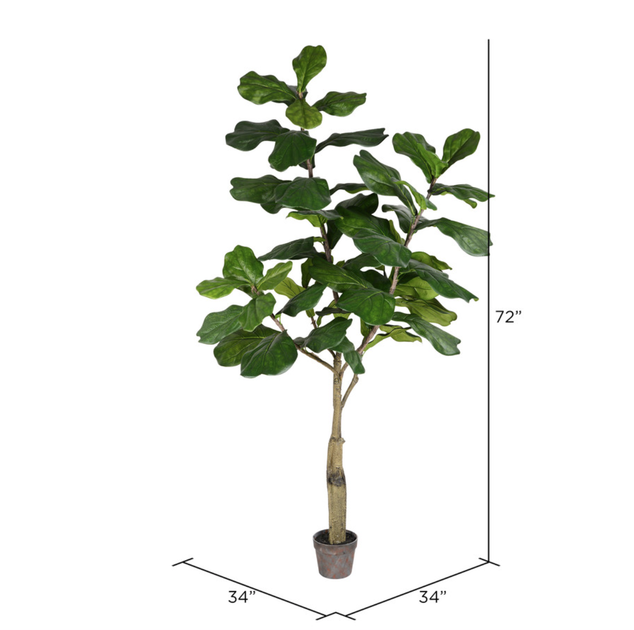 TB180272 6' Fiddle Tree Artificial Tree