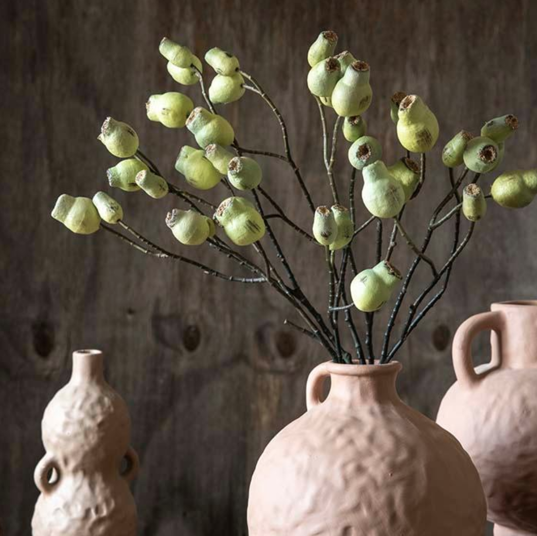AAH3015  Eucalyptus Gum Nut Stem
