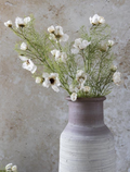 AAL9012  Cosmos Cream Stem