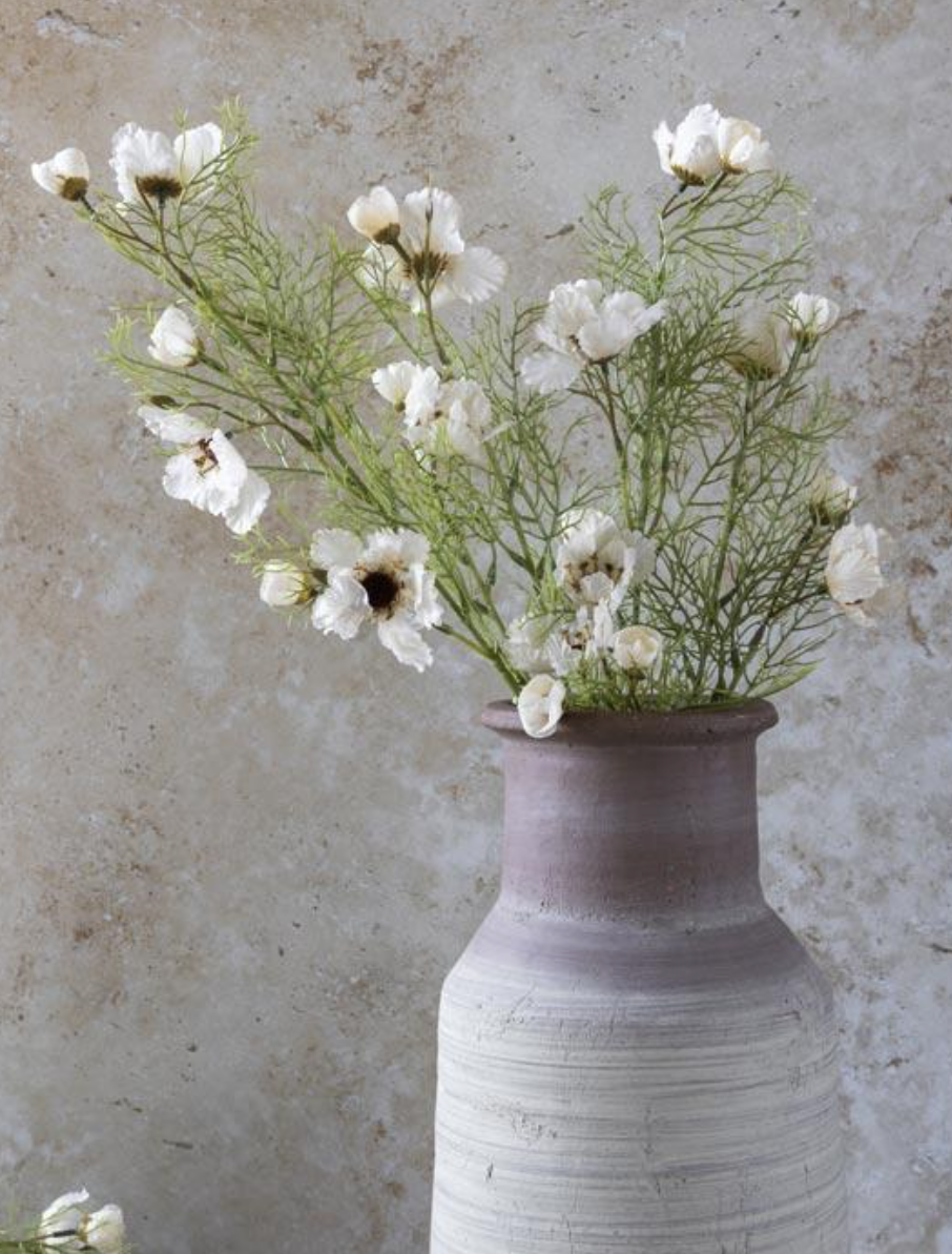 AAL9012  Cosmos Cream Stem