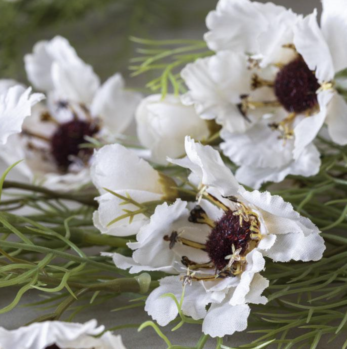 AAL9012  Cosmos Cream Stem