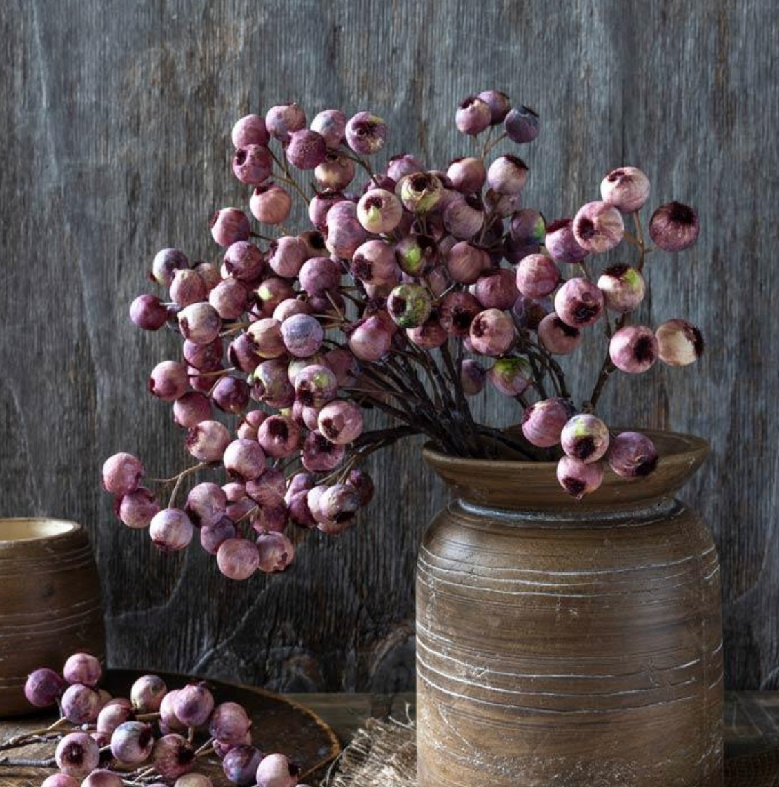 AAG4057 Hawthorn Berry Eventide