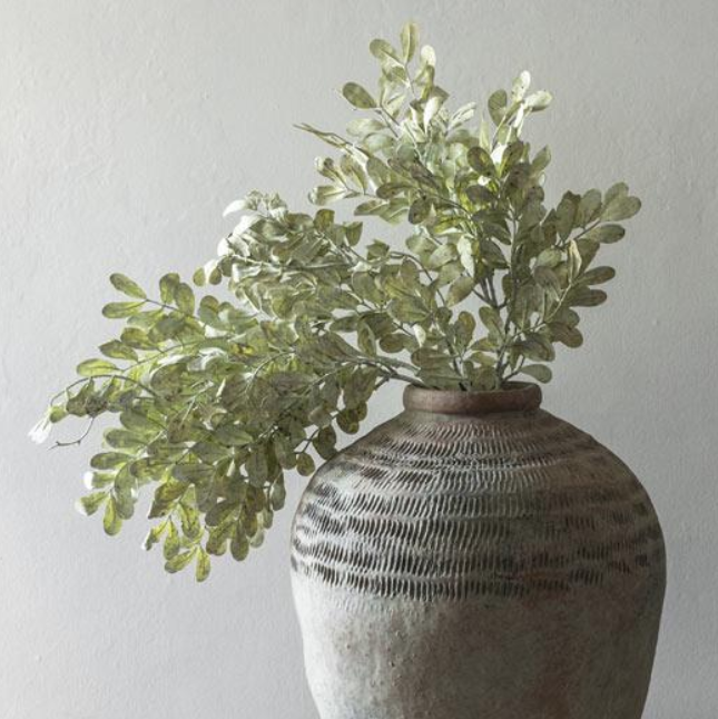 AAH3039 Eucalyptus Cream Stem