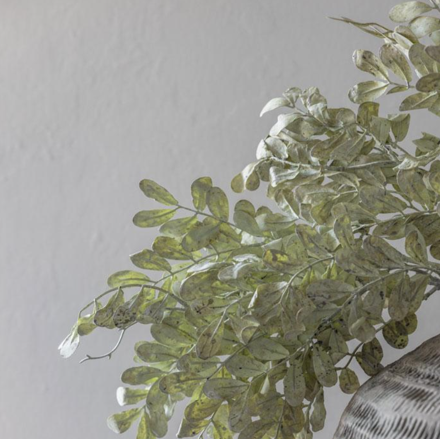 AAH3039 Eucalyptus Cream Stem