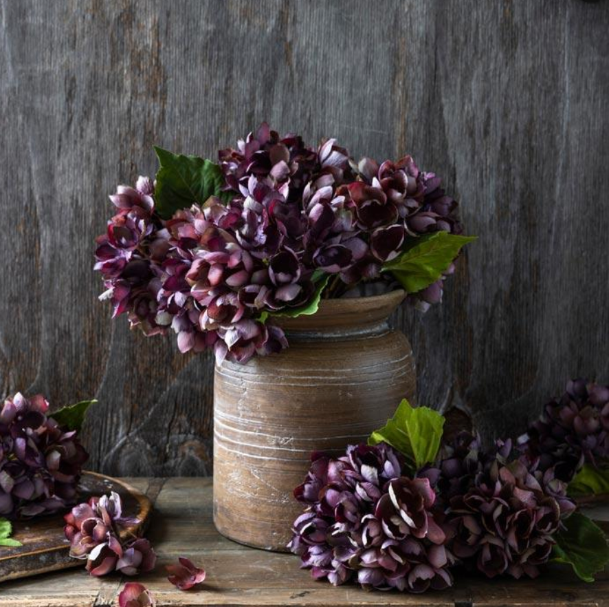 G4064 Hydrangea Damson