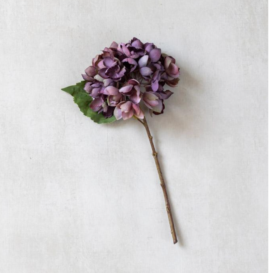 G4064 Hydrangea Damson