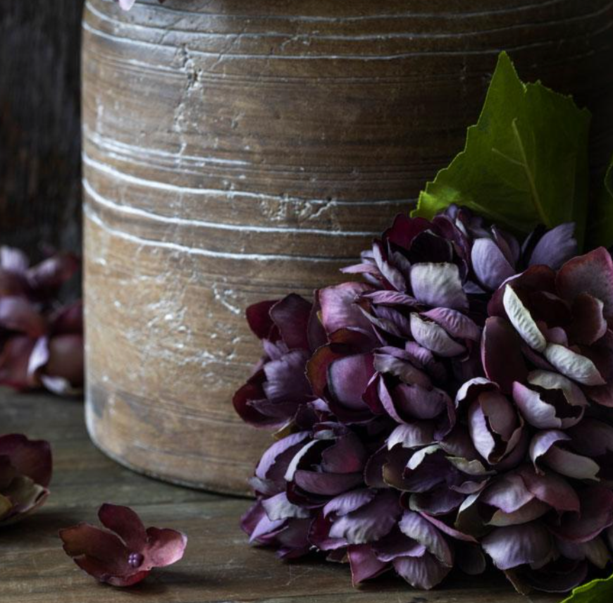 G4064 Hydrangea Damson
