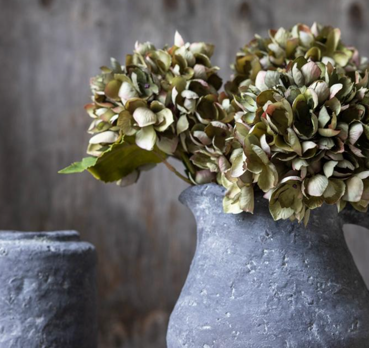 G4036 Hydrangea Dusk